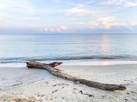 The horizon stretches endlessly, framing a paradise bay where waves crash against the shoreline, creating a dynamic and captivating seaside scenery. photo