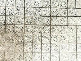 The gray concrete background serves as a timeless and classic design element. photo