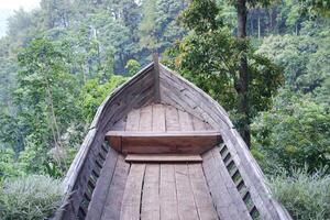 Wooden boat in the rain forest photo