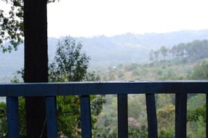 forest view from the countryside photo