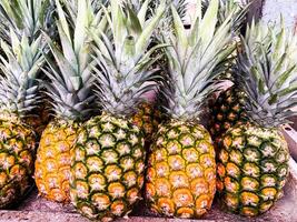 Front view of bunch Pineapple on table. Fruits or healthcare concept. photo