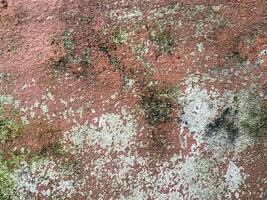 Abstract background of an old, weathered concrete wall. photo