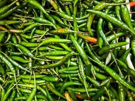 Backdrop of green chilli peppers texture background. Close up view with copy space for design photo