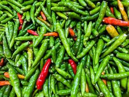 Backdrop of green chilli peppers texture background. Close up view with copy space for design photo