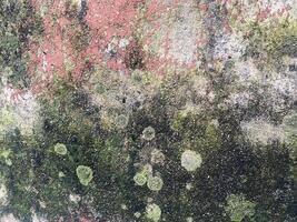 Abstract background of an old, weathered concrete wall. photo