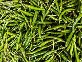 Backdrop of green chilli peppers texture background. Close up view with copy space for design photo