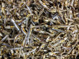 Beautiful top view of Dried anchovy texture background. Seafood in the market. photo