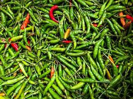 Backdrop of green chilli peppers texture background. Close up view with copy space for design photo