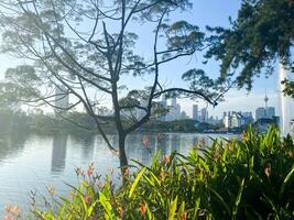 taman tasik titiwangsa capturas el esencia de verano en Sureste Asia, con soleado cielo, Fresco agua, y palma arboles creando un Perfecto tropical ambiente foto