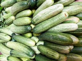 Top view cucumbers, long cucumbers, vegetables harvest, food background, copy space for text photo