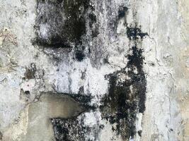 Closeup of an old and weathered concrete wall. photo