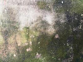 closeup of a beautiful grey concrete surface, suitable for creating stunning visuals with a modern touch. photo