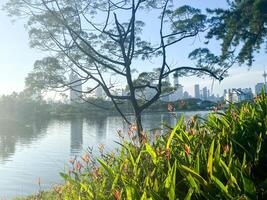 taman tasik titiwangsa capturas el esencia de verano en Sureste Asia, con soleado cielo, Fresco agua, y palma arboles creando un Perfecto tropical ambiente foto