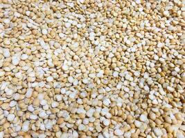 The close-up view of soybeans in a plantation setting captures the essence of their role in the agricultural landscape, linking food production to healthy living. photo