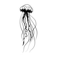 arte lineal de una línea de medusas para el diseño de decoración. ilustración de vector de línea negra sobre fondo blanco