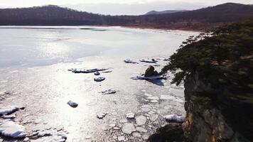 Drone view of ice floes floating in the sea near the shore video