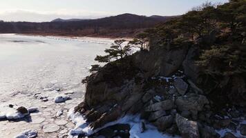 Drone view of ice floes floating in the sea near the shore video