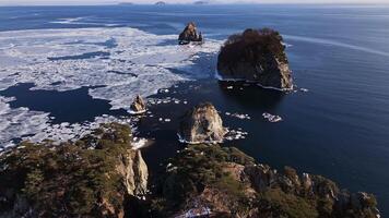 zumbido ver de hielo témpanos flotante en el mar cerca el apuntalar video