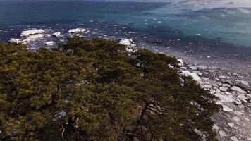 panorama de un hermosa rocoso bahía con hielo témpanos video