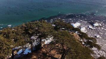 Drone view of ice floes floating in the sea near the shore video