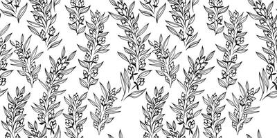 Stylized abstract simple branches with flowers buds and leaves seamless pattern. Black and white artistic gently floral background. Vector hand drawn sketch lines, outlines. Template for design, print