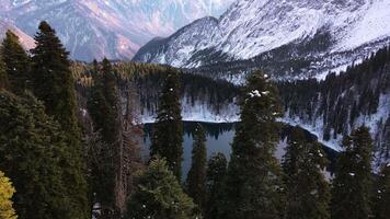 proche vol de une drone entre sapin des arbres surplombant une magnifique Montagne Lac video