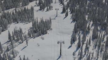 Aerial. chairlift supports in a snowy coniferous forest on a sunny day video