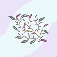 flowers with beautiful and elegant stems vector