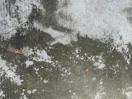 Rough and grunge background with a blank gray texture. photo