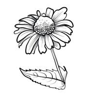 black and white daisy pattern vector illustration