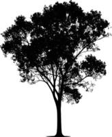 ai generado silueta árbol naturaleza negro color solamente vector