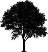 ai generado silueta árbol naturaleza negro color solamente vector