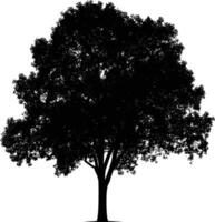 ai generado silueta árbol naturaleza negro color solamente vector