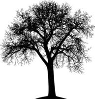 ai generado silueta árbol naturaleza negro color solamente vector