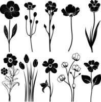 AI generated Silhouette spring flower collection black color only vector