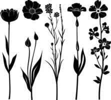 AI generated Silhouette spring flower collection black color only vector