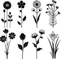 AI generated Silhouette spring flower collection black color only vector