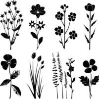 AI generated Silhouette spring flower collection black color only vector