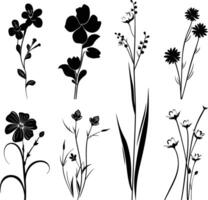 AI generated Silhouette spring flower collection black color only vector