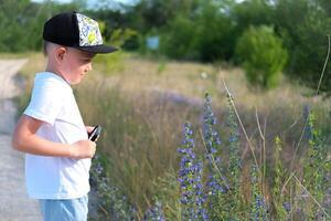 The child examines blue flowers through a magnifying glass - common eryngium. A little boy looks through a magnifying glass medicinal plant Echium vulgare. photo