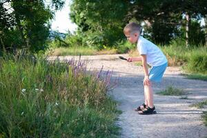 The child examines blue flowers through a magnifying glass - common eryngium. A little boy looks through a magnifying glass medicinal plant Echium vulgare. photo