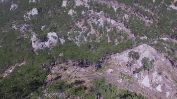 aéreo ver verde bosque fondo, Rusia. disparo. rocoso acantilado y mezclado bosque en el montaña, el viejos montañas en el mundo, Urales, Rusia video