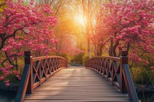 AI generated Wooden bridge leading to extravagantly blooming pink cherry - sakura trees in a Japanese park, picturesque spring scene. photo