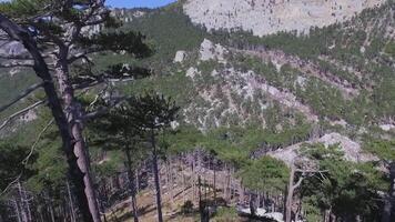 aereo Visualizza verde foresta sfondo, Russia. sparo. roccioso scogliera e misto foresta su il montagna, il vecchi montagne nel il mondo, urale, Russia video