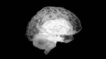 humano blanco cerebro en negro, Ciencias anatomía antecedentes. el humano cerebro es me gusta un holograma plexo. blanco giratorio humano cerebro en un negro antecedentes. medicina y ciencia. lazo animación video