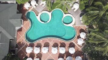 Swimming pools at the hotel in the tropics in the afternoon. Video. Beautiful pool in the hotel. Swimming pool of luxury hotel. Top view on pool in hotel video