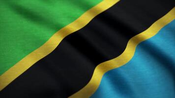 Flag of Tanzania with fabric texture, seamless loop. Tanzania Flag Waving. 4K Seamless Loopable Flag of Tanzania video