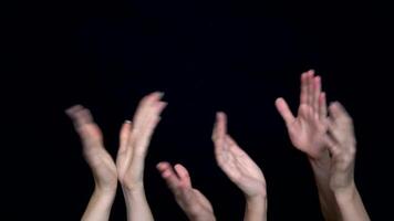 Hands isolated on black background giving applause. Hands clapping on black, front view video