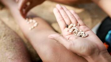 Female hands collect pattern of shells and sand, close up. Video. Pieces of amber and seashells in female hands on a background of sand video