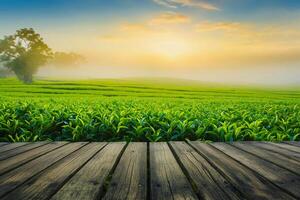 AI generated Wood floor on green tea leaf plantation in morning, blurred background. Fresh green tea leaves. Green tea plantations sunrise. Freshness organic tea garden background. photo